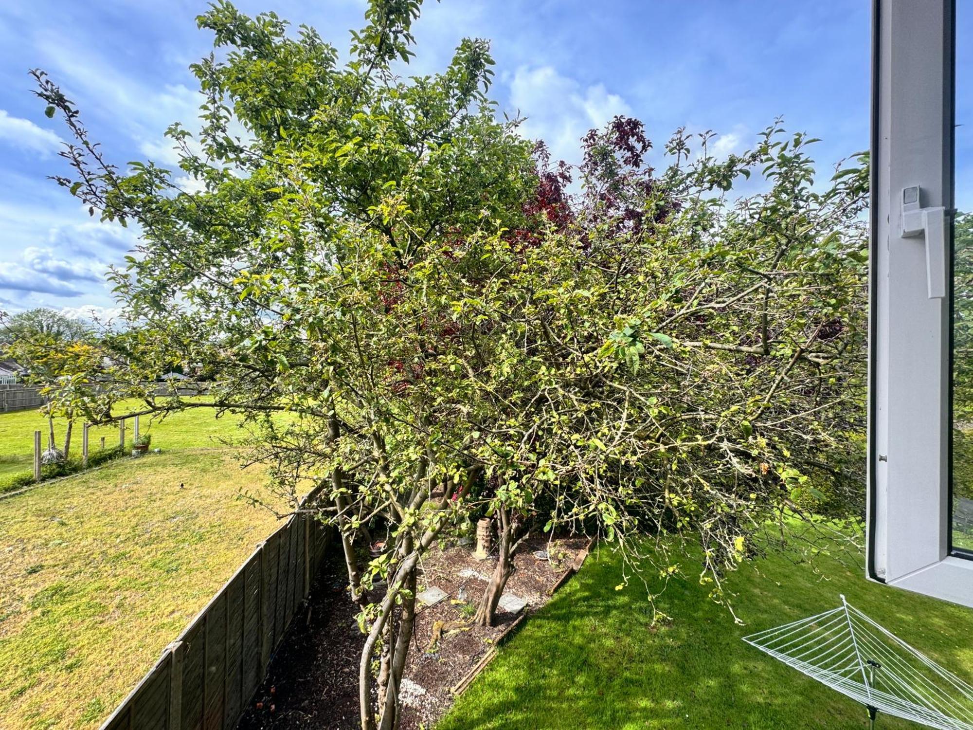 Maison d'hôtes High Trees Gatwick Horley